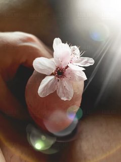20180419_142636.jpg