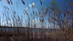 DSC_4945.JPG