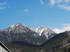 IMG_20180408_142835.jpg