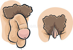 penis-i-pochwa-41570393.jpg