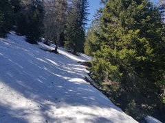 20180421_144949.jpg