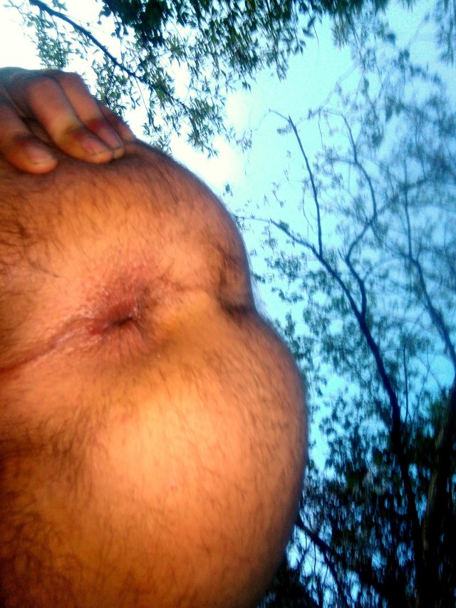 bisexja