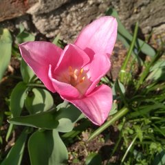 IMG_20180423_143656.jpg