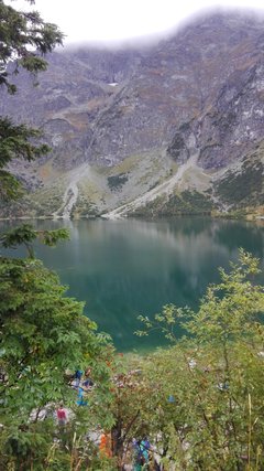 IMG_20160917_115548.jpg