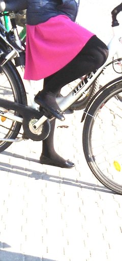 IMG_2905cz.jpg