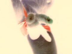 20180425_023951.jpg