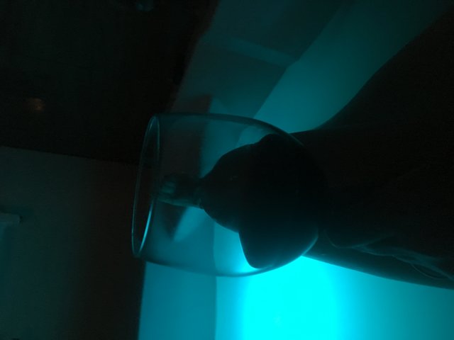 parafet