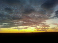 SP_A0100.jpg