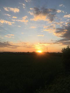 5DE0C4EF-21AD-4209-9154-DC7DBA66FAAA.jpeg