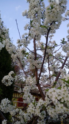 20180428_193431.jpg