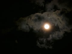 P1010512a.jpg