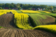 _DSC7923.jpeg