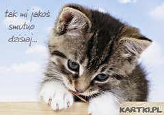 i  tak   2  tygodnie...czas  odliczac   dni