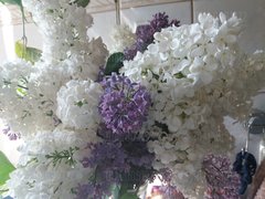 20180429_105737[1].jpg