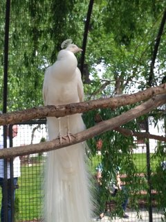 IMG_20180501_142311.jpg