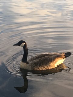 6B79EA52-F3C2-4472-9CC6-53C8DF37FD00.jpeg