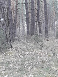 20180416_101509.jpg