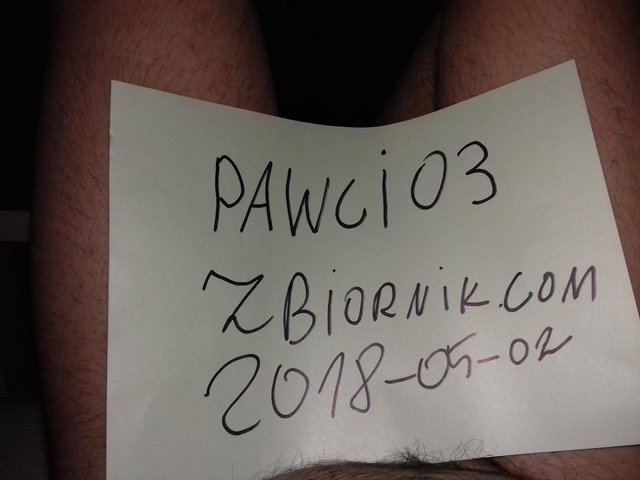 Pawcio3