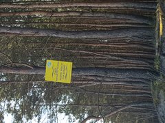 20180502_094329.jpg