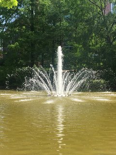 60773CE6-2C1C-4E4D-BB58-5FED053F1E1F.jpeg