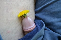 DSC_0030.JPG