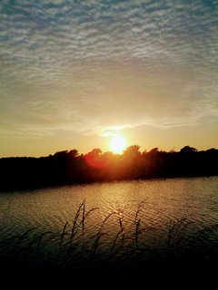 IMG_20130614_212809.jpg