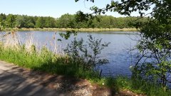 IMG_20180505_143608.jpg
