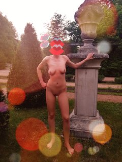 MUŚNIETA SŁOŃCEM