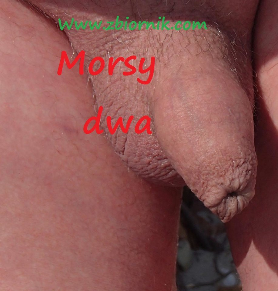 Selfi - Morsy_dwa