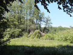 DSCF2444.JPG