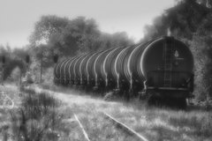 _DSC8175aaa.jpeg