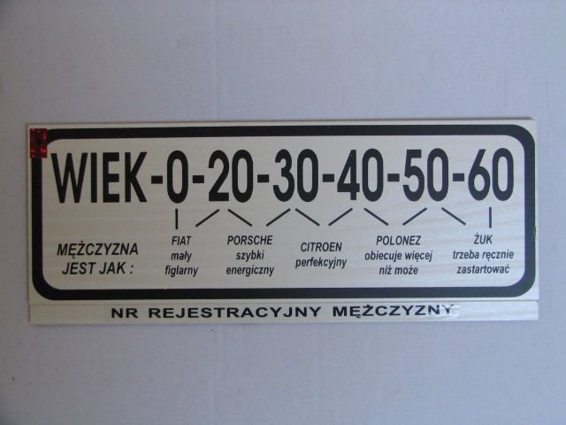 NR._rejestracyjny_mezczyzny.jpg - OnZmalym13cm