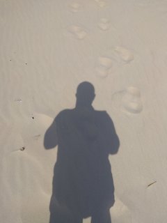 IMG_20180430_125921.jpg