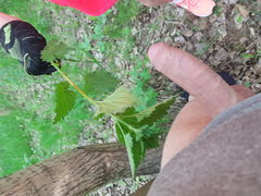 20180501_174828.jpg