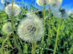CC974BC5-74AB-4D2A-B0B6-7CE645086216.jpeg