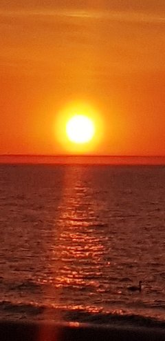 20180514_204000.jpg