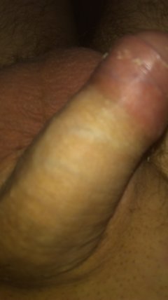 IMAG0113.jpg