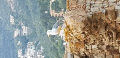 20180517_200712.jpg