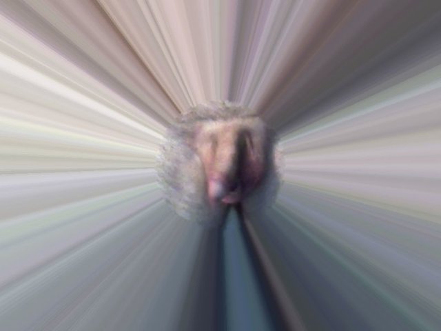 webcam-toy-foto2.jpg - julek06