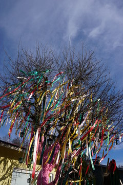 DSC00786.JPG