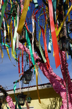 DSC00785.JPG