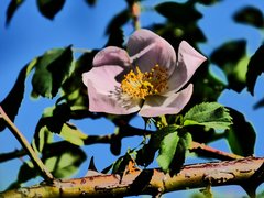 P1010928a.jpg