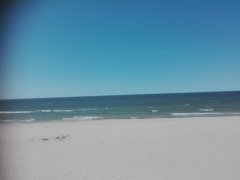 IMG_20180520_154437.jpg