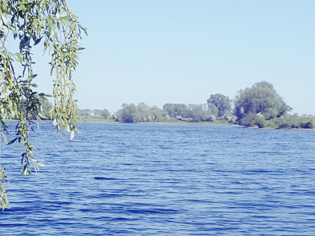 Tomektomek1986