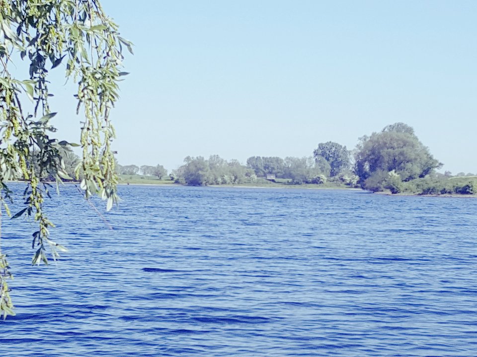 20180505_155712.jpg - Tomektomek1986