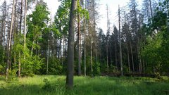 20180518_163945.jpg