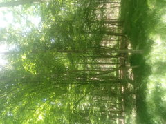 20180521_140131.jpg