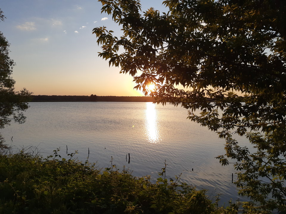 20180521_200027.jpg - mlody1277