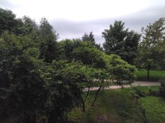 IMG_20180519_112110.jpg