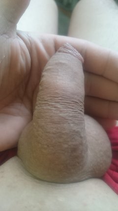 1527088095539-337456954.jpg